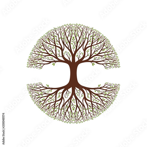 Circular Tree of Life, Growth, Nature, Yin Yang Symbol, Roots, Branches