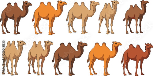 Camel Animal Collection Featuring Various Desert Camels in Different Colors and Poses with Flat Illustration Style for Wildlife, Travel, and Safari Design Concepts