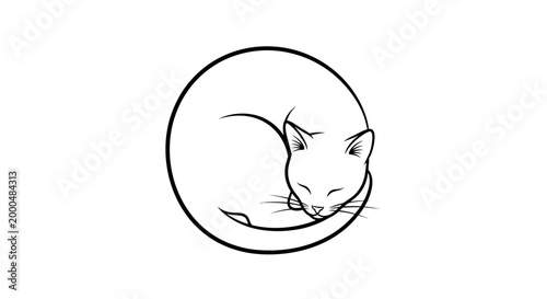 vector line art illustration of a cats face