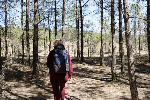 Woman with backpack walking on a forest path surrounded by pine trees