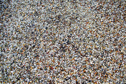 Foto Multicolored Small Pebbles and Gravel Texture