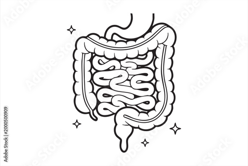 Gastrointestinal Anatomy Line Icon Featuring Stomach and Intestines