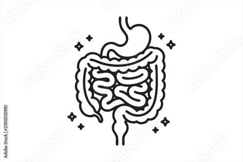 Gut Health Anatomy Graphic for Medical Apps and Education Design