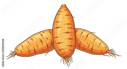 Three fresh orange carrots arranged in a star-like pattern, showcasing a healthy and classic root vegetable, rich in vitamins.