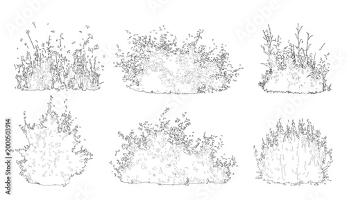 Vector set of shrubs, bushes and flowers in elevation view for use in architectural drawings