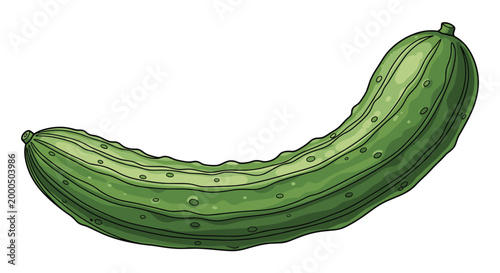 Single whole green cucumber with a slightly curved, elongated shape and bumpy texture, showcasing a fresh and refreshing vegetable.