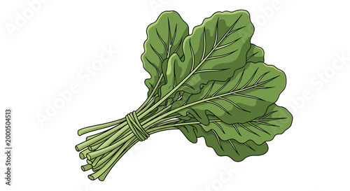 A vibrant green bunch of fresh arugula, also known as rocket, showcasing its peppery leaves, ideal for salads and gourmet dishes.