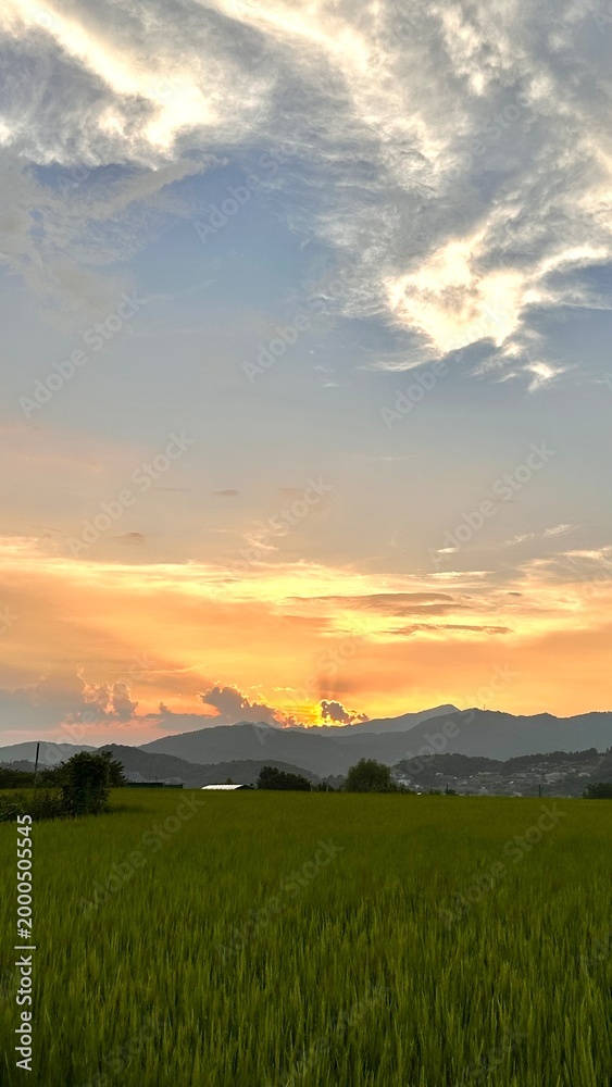 Fototapeta premium Golden Sunset Over Green Field and Mountains, Peaceful Countryside Landscape