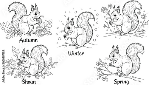 Cute squirrel seasonal vector set featuring autumn winter spring and monsoon themes in hand drawn black and white engraved sketch style for nature education and calendar design.