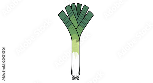A single, long leek with its characteristic green fan-like top and white lower stalk, a versatile and aromatic vegetable for various dishes.