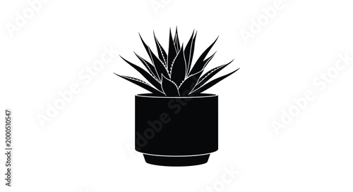 Succulent plant silhouette in modern pot
