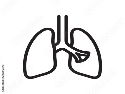 Human lungs anatomical vector illustration with trachea and bronchi in flat design