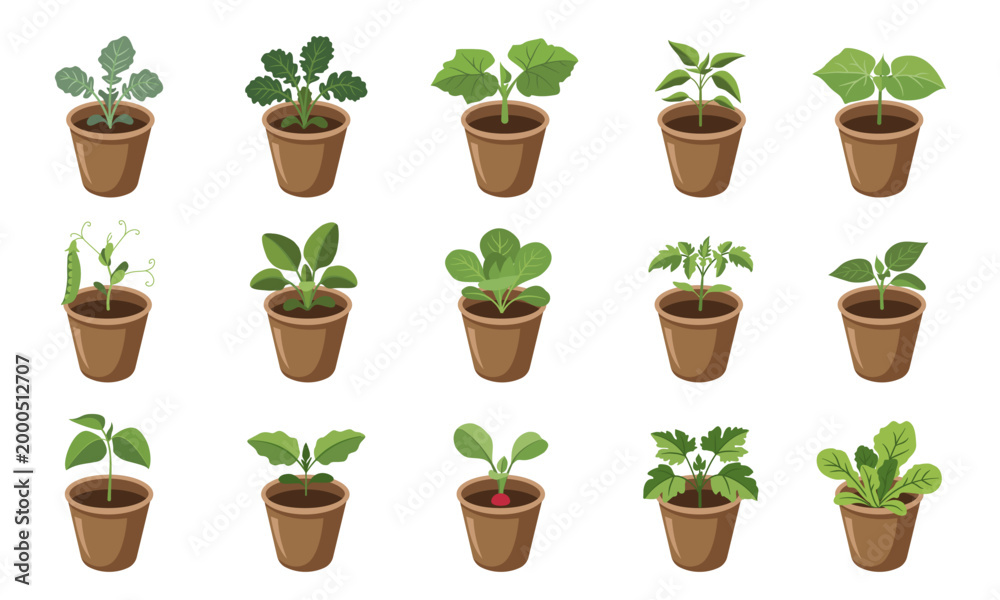 Fototapeta premium Set of vegetable seedlings in pots collection isolated on white