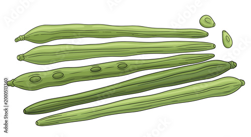 Several fresh green moringa pods and scattered seeds, showcasing a nutritious superfood known for its health benefits and culinary versatility.