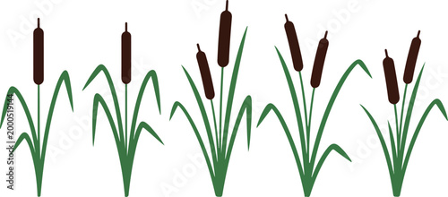 Reed and cattail plant silhouettes icon set. Set of reed and cattail plant silhouettes isolated on white background. Vector Illustration. EPS 10.eps