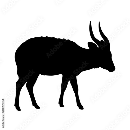 Foto Black silhouette of a bushbuck or sitatunga antelope isolated on white background