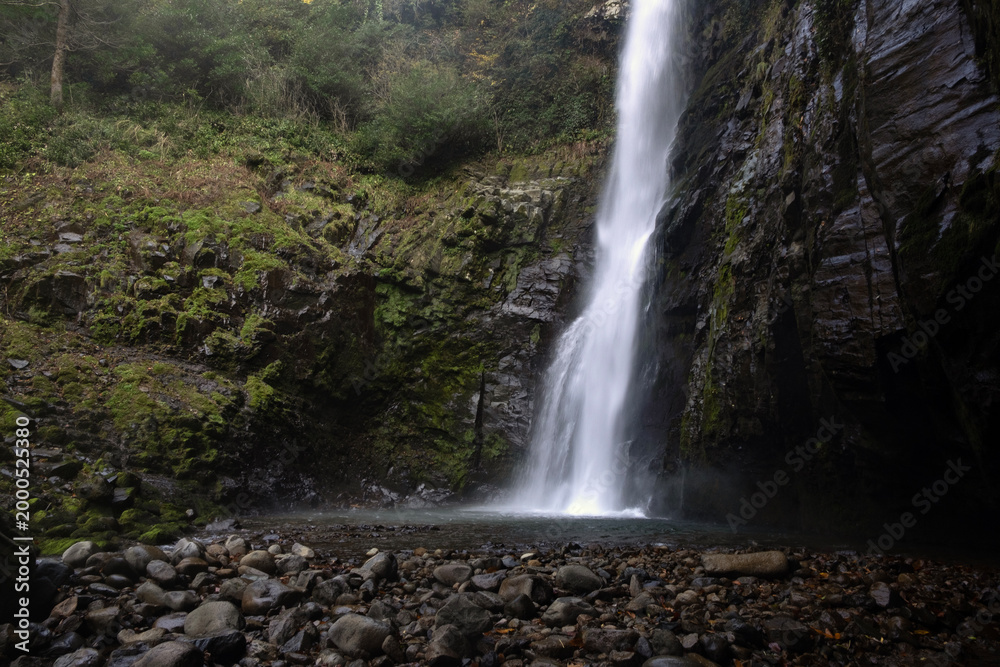 Fototapeta premium Waterfall cascading into a rocky pool within a dense forest