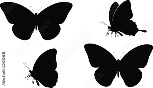 Set of butterflies silhouettes on white background, vector, eps 10.