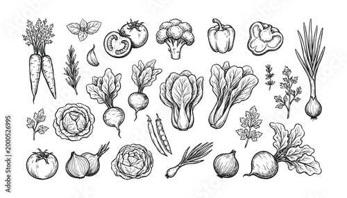 Collection of hand drawn vegetables sketch vector set on transparent background illustration.