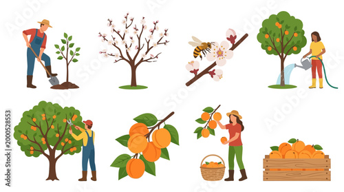 Diverse agricultural scenes illustrate the life cycle of fruit trees from planting and pollination to harvesting and storage.