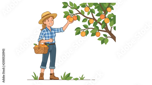 Cheerful cartoon farmer woman wearing a straw hat and blue checkered shirt happily picking ripe apricots into a basket.