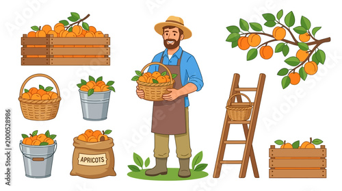 Cheerful smiling farmer holding a basket of fresh ripe apricots surrounded by various containers and fruit branches for agricultural harvest themed design projects