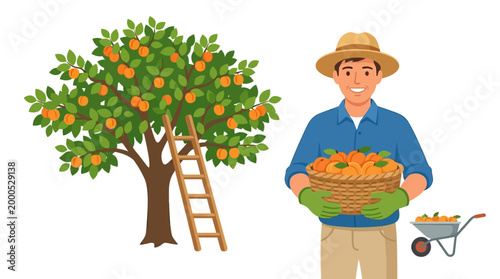 Cheerful farmer holding a full basket of ripe apricots next to a ladder against a lush, fruit-laden tree, ready for harvest season.