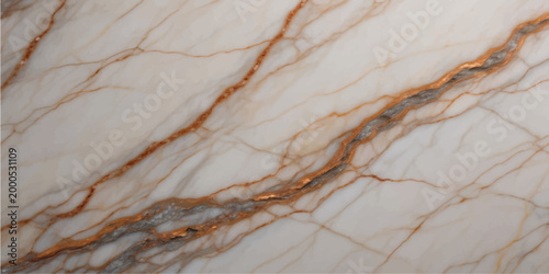 Rough old tree bark texture features a natural pattern and weathered surface material that resembles the rugged design of stone or rock found in nature