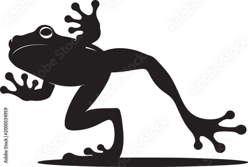 фотографія frog silhouettes
