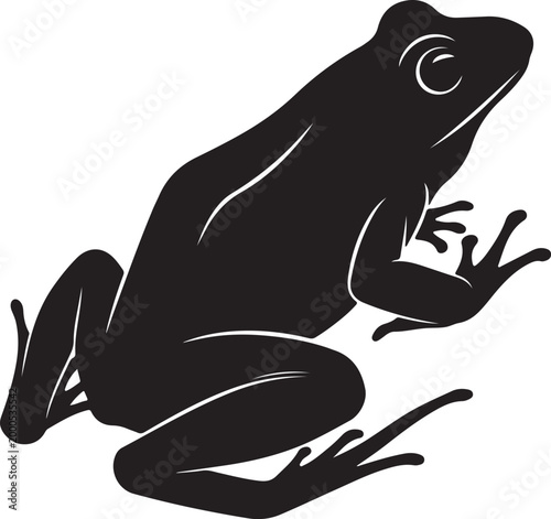Photography frog silhouettes