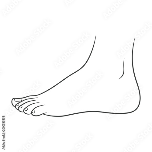 Bare human foot outline drawing with toes and ankle on white background