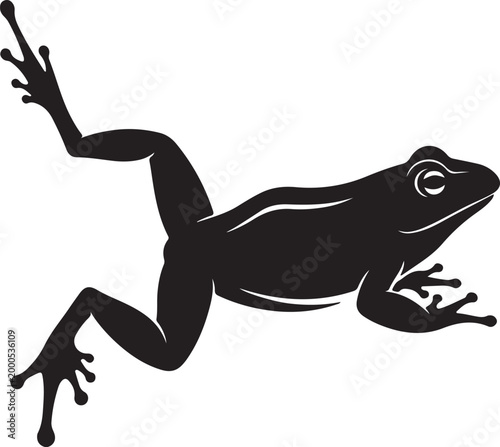Fotografía frog silhouettes