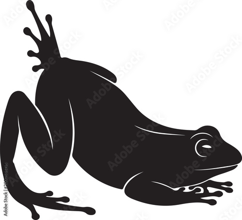 Photos frog silhouettes