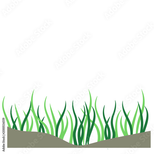 фотографія Green seagrass on sandy seabed, underwater marine vegetation, shallow ocean floor, vector illustration icon design