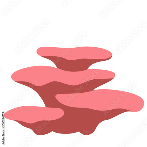 Pink layered plate coral formation, hard coral structure, underwater reef element, marine life, vector illustration.