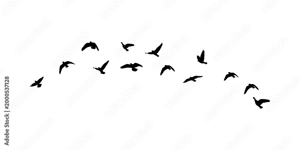 Obraz premium Birds flock silhouettes pattern on PNG transparent. Birds flock isolated. 