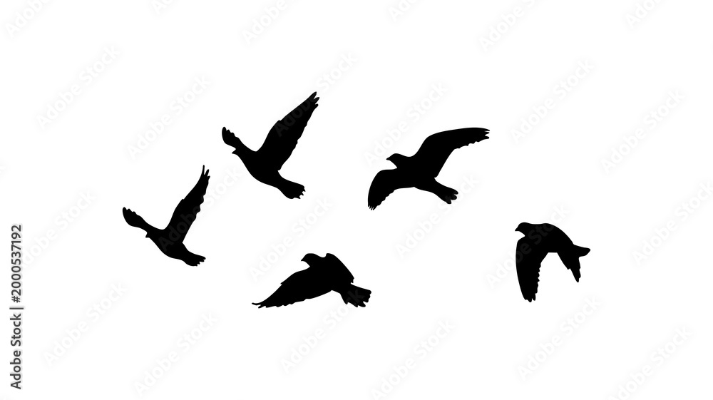 Obraz premium Flying birds silhouettes pattern on PNG transparent. bird flying isolated. tattoo design.