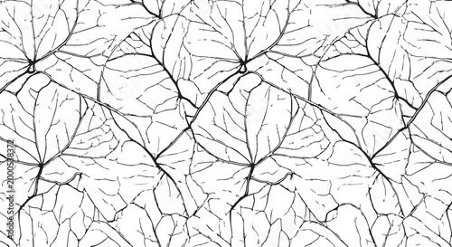 Black leaf pattern, botanical design, vector graphics, seamless background