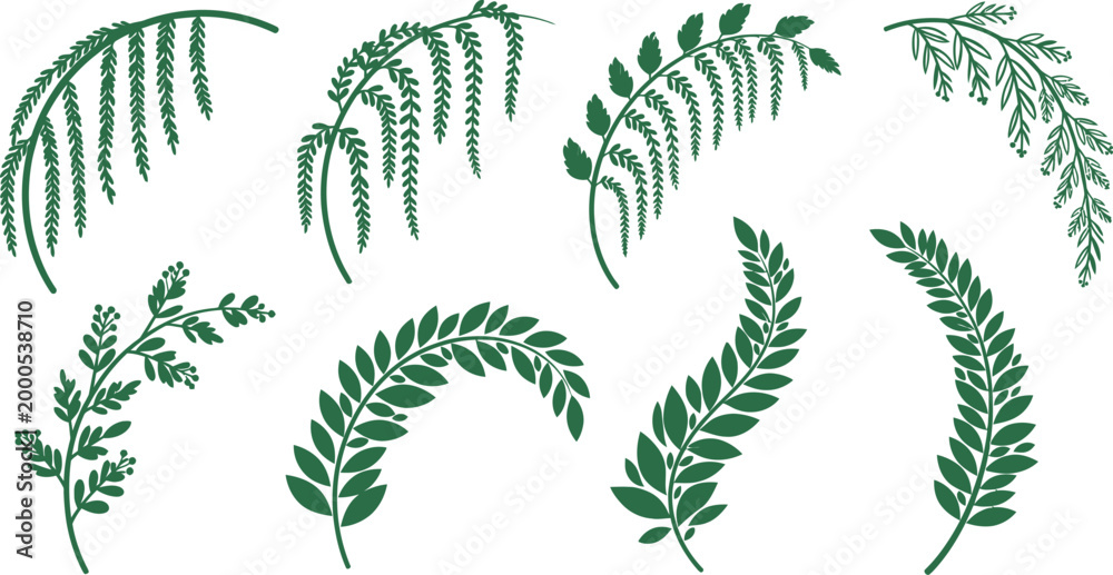 Fototapeta premium Various green wheat and grain stalks on white background for agriculture and harvest concepts