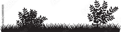 Black grass silhouette vector set, 4 organic lawn tuft elements, botanical meadow plant borders, minimalist garden landscape greenery icons. Grass and Bush Silhouette Border