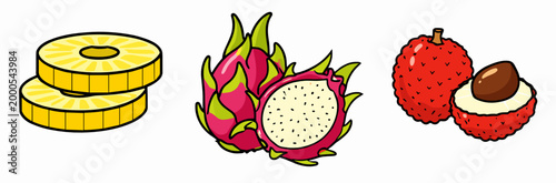 Colorful flat set of tropical fruit slices including pineapple rings, dragon fruit and lychee. Healthy exotic food concept isolated on white, fresh organic nutrition illustration