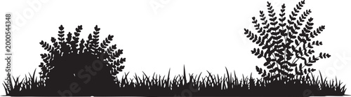 Black grass silhouette vector set, 4 organic lawn tuft elements, botanical meadow plant borders, minimalist garden landscape greenery icons. Grass and Bush Silhouette Border