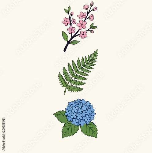 Art & Illustration