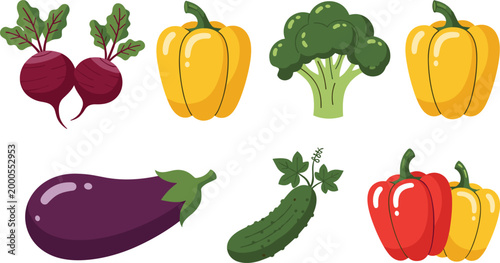 Fresh vegetables vector illustration set with beetroot bell peppers broccoli cucumber and eggplant isolated on white background in colorful flat design style