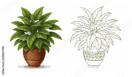 Lush Green Leafy Plant in Decorative Brown Pot – Color & Black and White Line Art