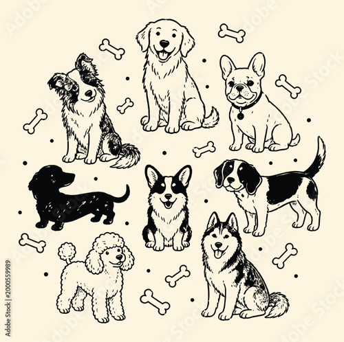 Set of cute handdrawn dog breeds with bones, vector illustration