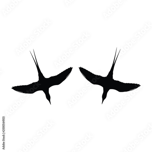 Two black birds in flight silhouette against white background