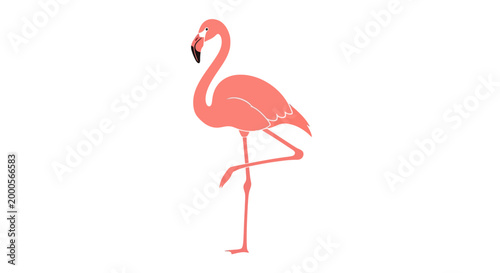 Pink Flamingo Bird Standing Alone Profile.