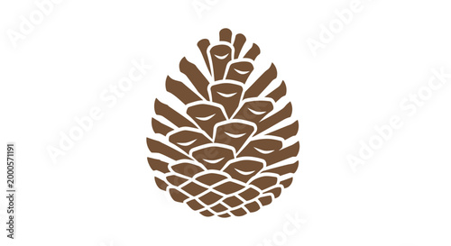 Pine cone brown prickly texture.