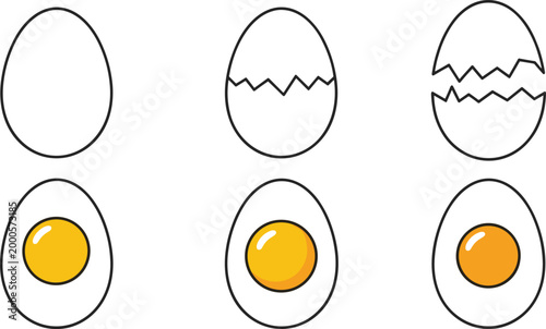 Six stages of an egg from whole to cracked and yolk visible whole egg cracked egg broken egg yolk